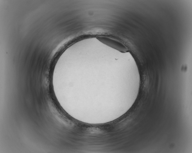 X0000111950392200908241209