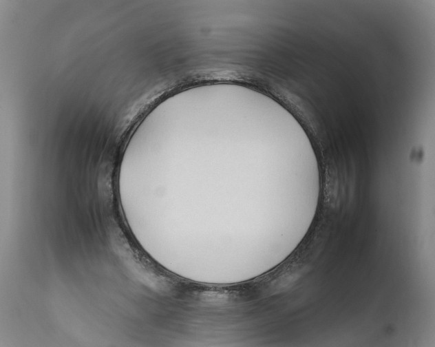 X0000111950394200908241209