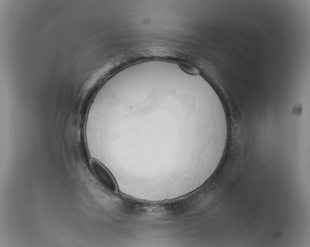 X0000111950395200908241209