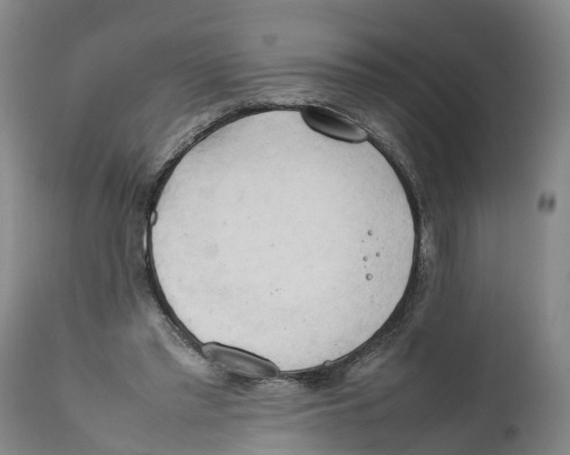 X0000111950397200908241209