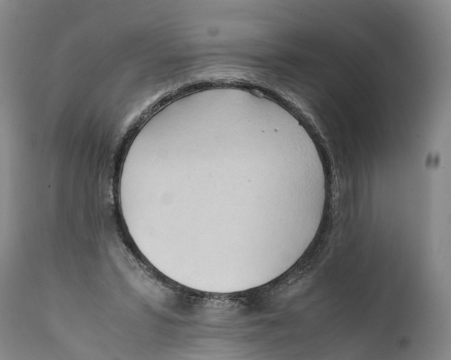 X0000111950399200908241209
