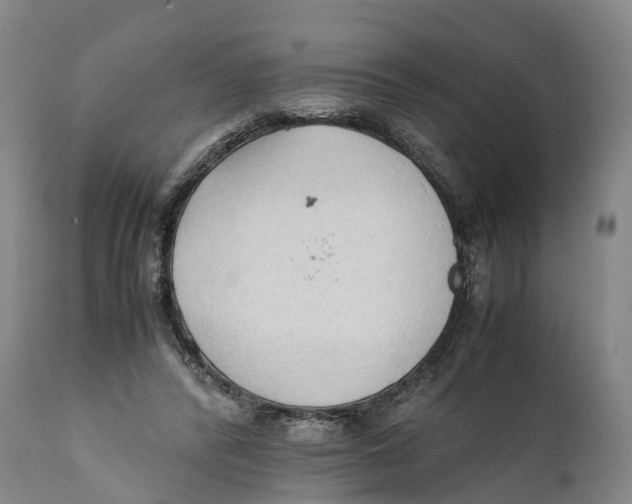 X0000111950400200908241209