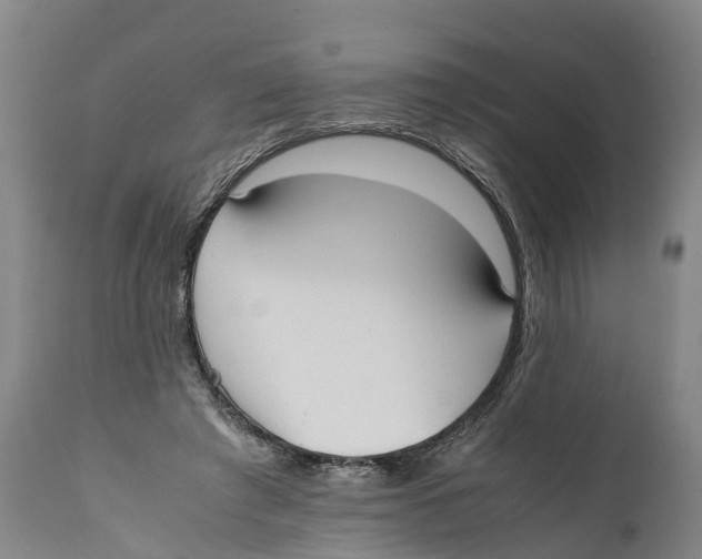 X0000111950401200908241209