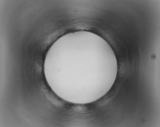 X0000111950402200908241209