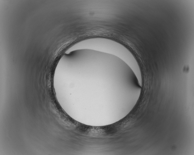 X0000111950403200908241209