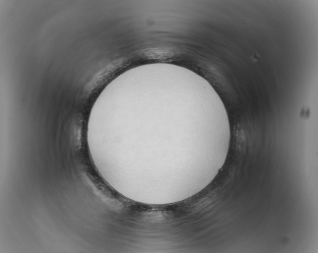 X0000111950404200908241209