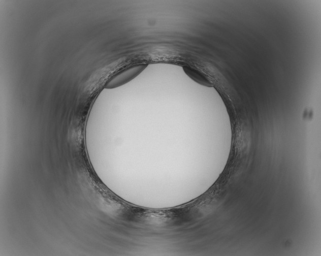 X0000111950405200908241209