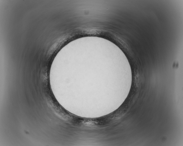 X0000111950407200908241209