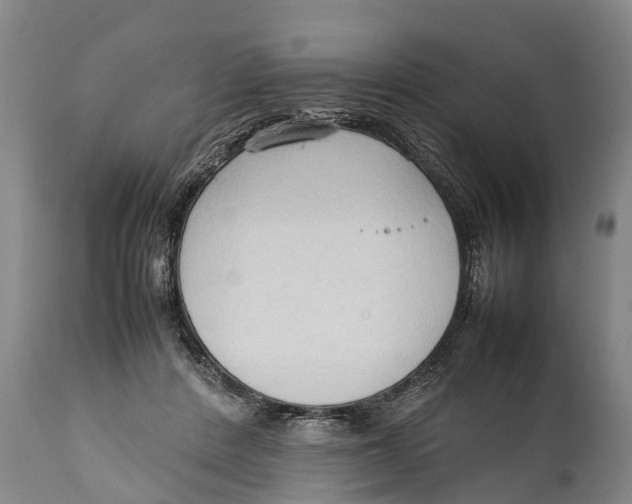 X0000111950408200908241209