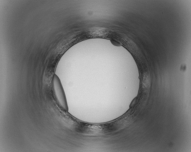 X0000111950409200908241209