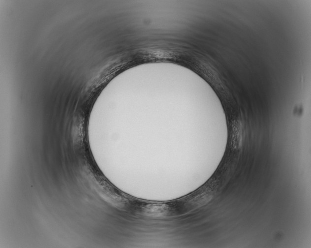 X0000111950410200908241209