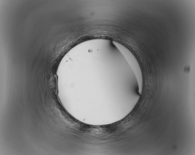X0000111950411200908241209
