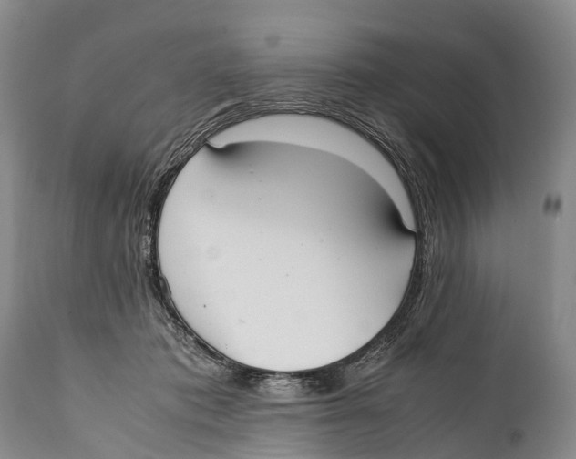 X0000111950413200908241209