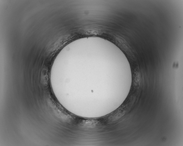 X0000111950414200908241209