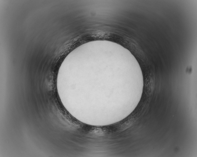 X0000111950416200908241209