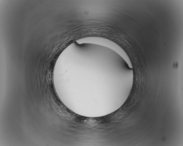 X0000111950419200908241209