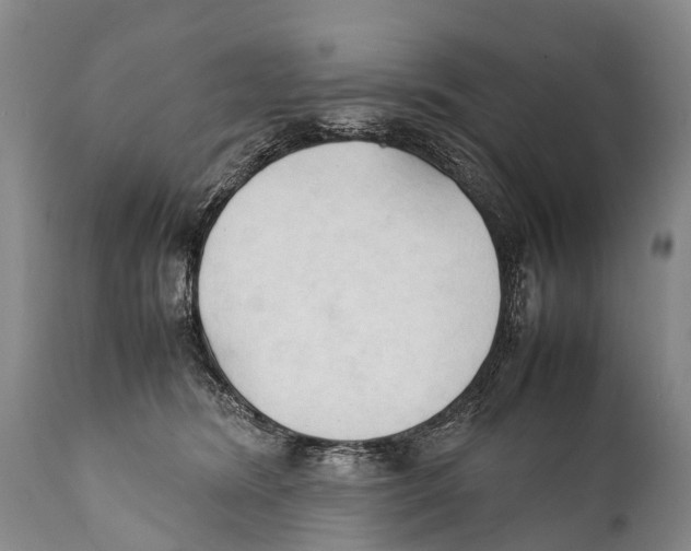 X0000111950420200908241209