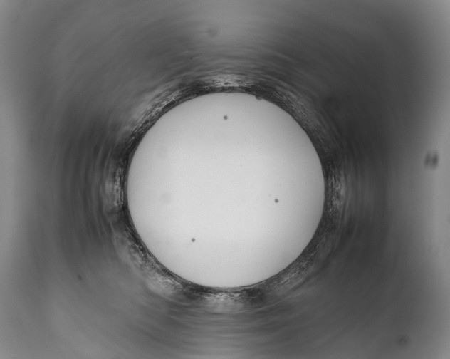 X0000111950422200908241209
