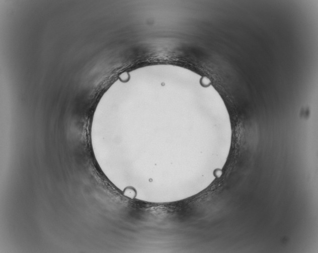X0000111950423200908241209