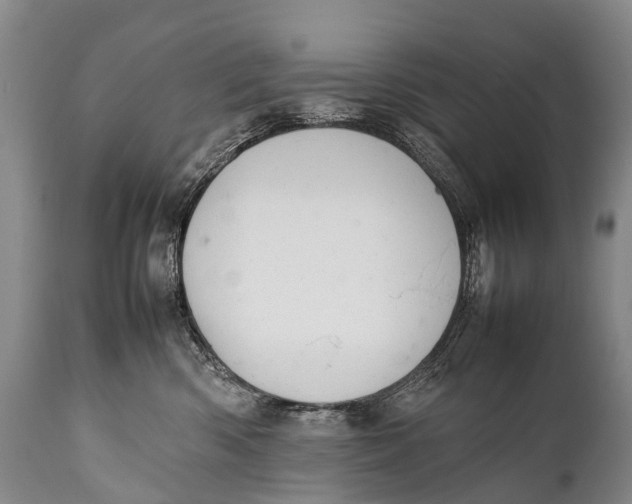 X0000111950426200908241209