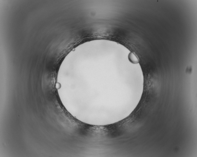 X0000111950427200908241209