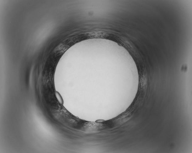 X0000111950429200908241209