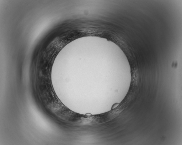 X0000111950430200908241209