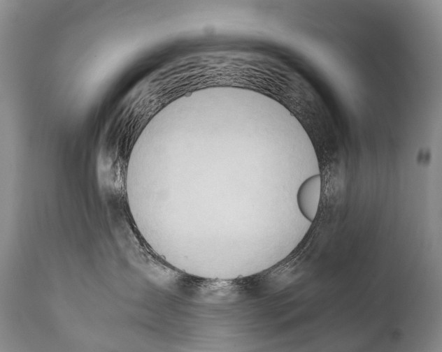 X0000111950431200908241209