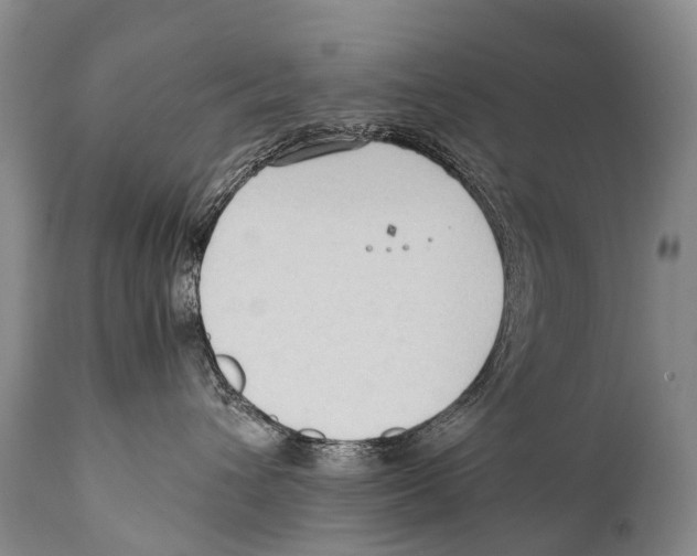 X0000111950432200908241209