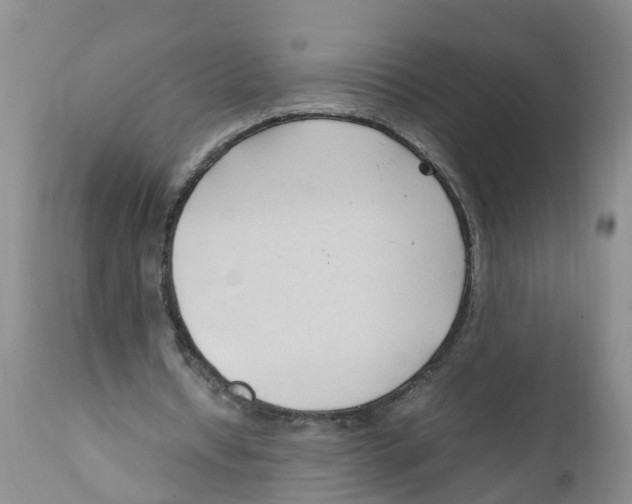 X0000111950434200908241208
