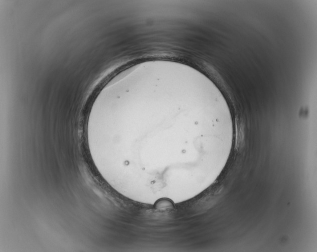 X0000111950435200908241208