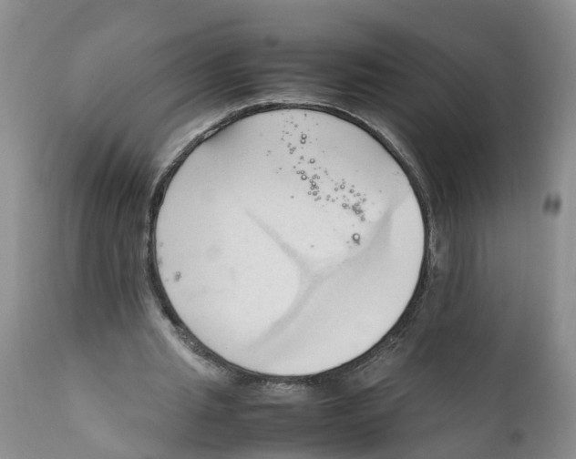 X0000111950437200908241208