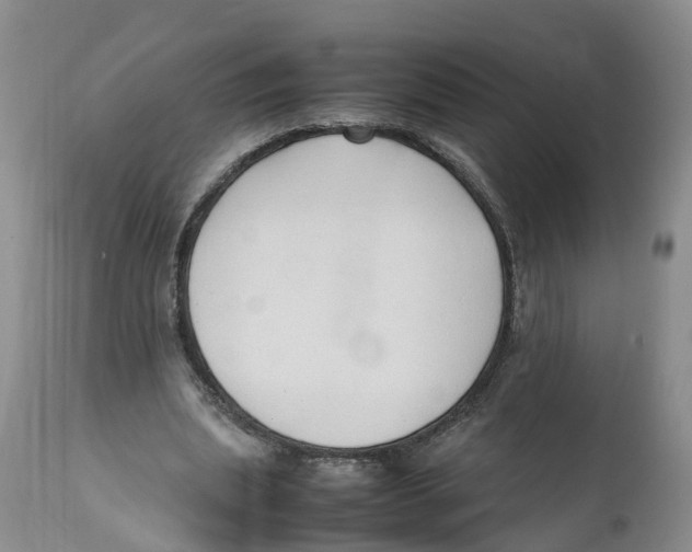 X0000111950439200908241208