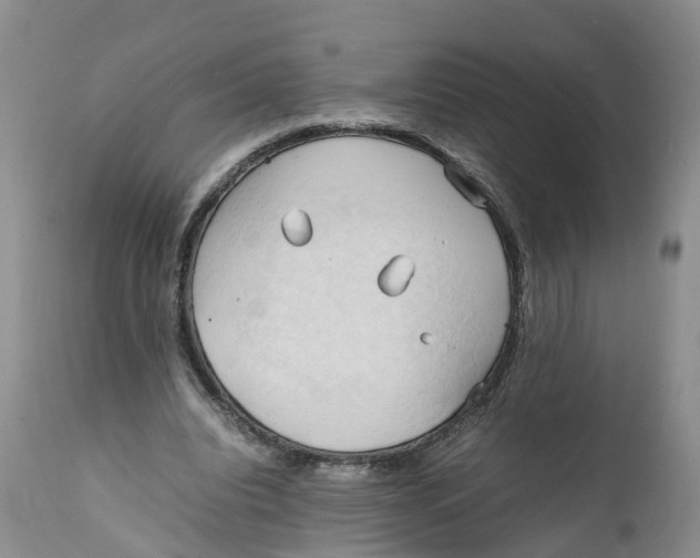 X0000111950440200908241208