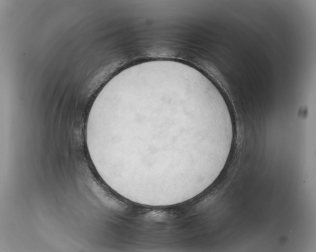 X0000111950441200908241208