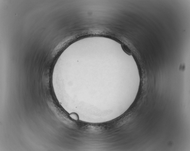X0000111950442200908241208