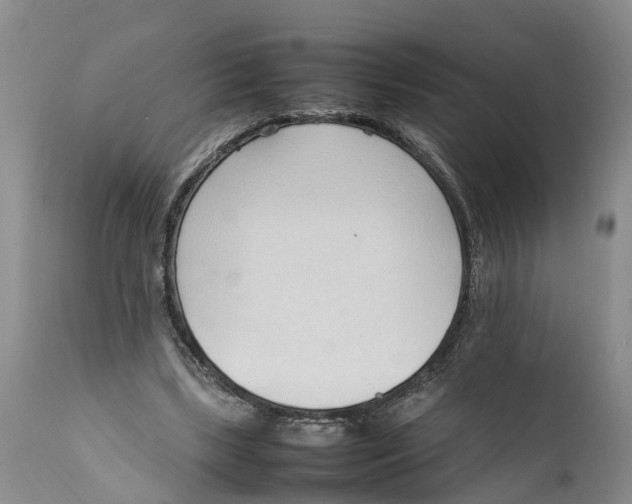 X0000111950443200908241208