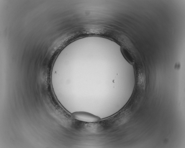 X0000111950444200908241208