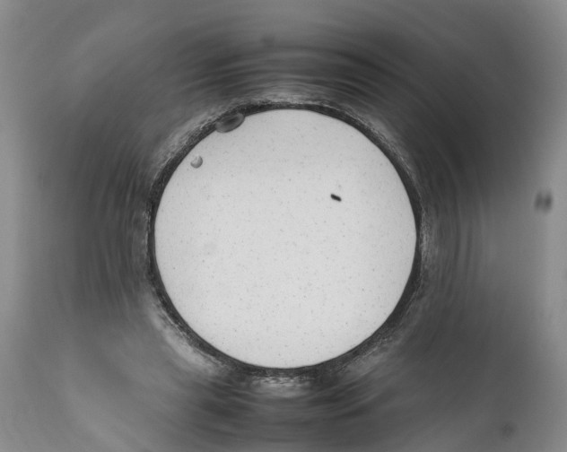 X0000111950445200908241208