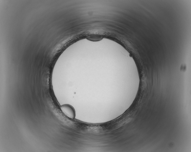 X0000111950446200908241208