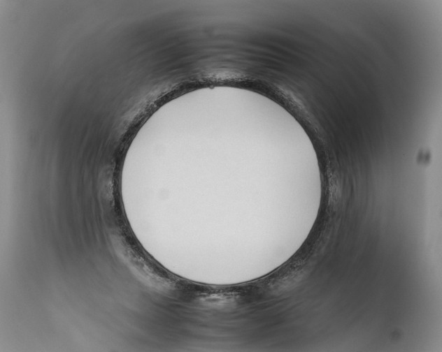 X0000111950447200908241208