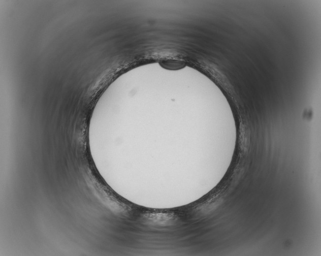 X0000111950449200908241208