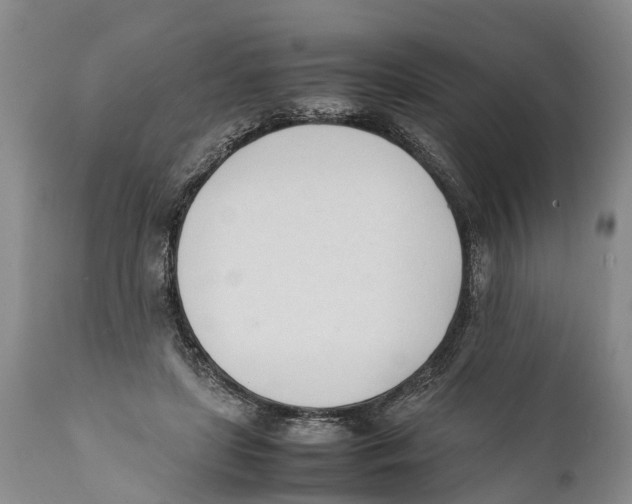 X0000111950451200908241208