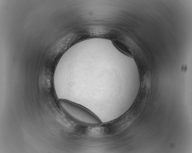 X0000111950452200908241208