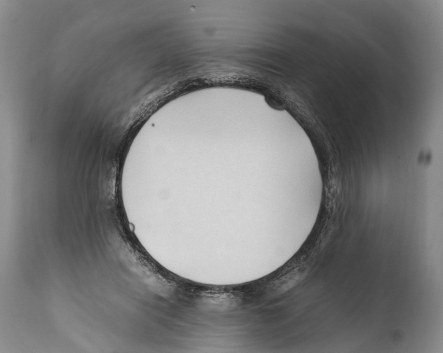 X0000111950454200908241208