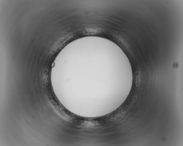 X0000111950455200908241208
