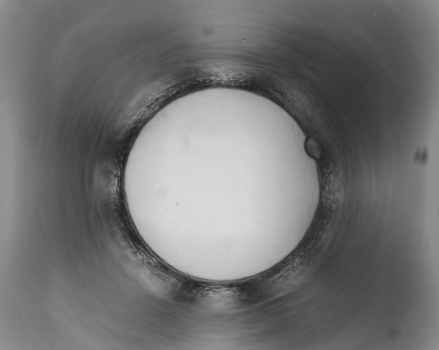X0000111950456200908241208