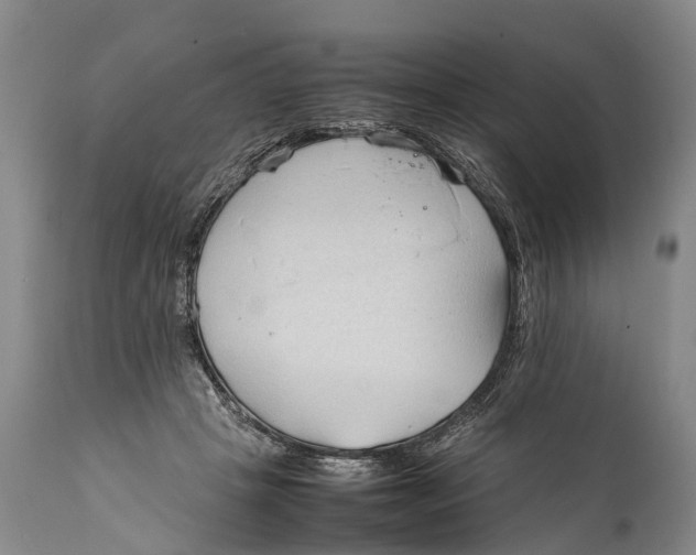 X0000111950457200908241208