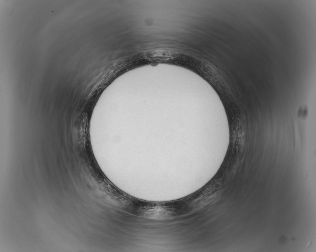 X0000111950460200908241208