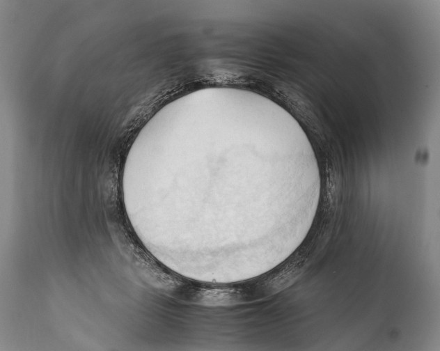 X0000111950461200908241208
